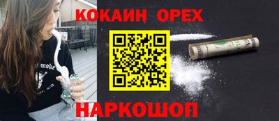 сатива Абакан