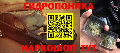 сатива Абакан