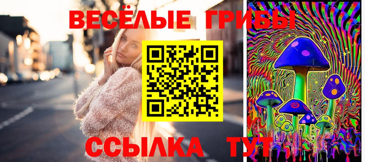 Алейск  Псилоцибиновые грибы Magic Shrooms  где найти   Вход с VPN 