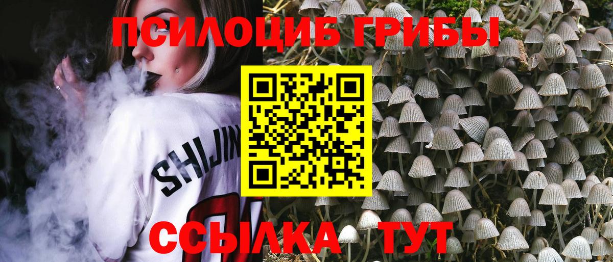 Псилоцибиновые грибы Cubensis Алейск